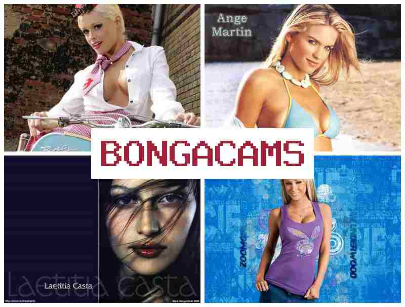 BONGA CQMS 💟 Legal Porn & Old Man Porn