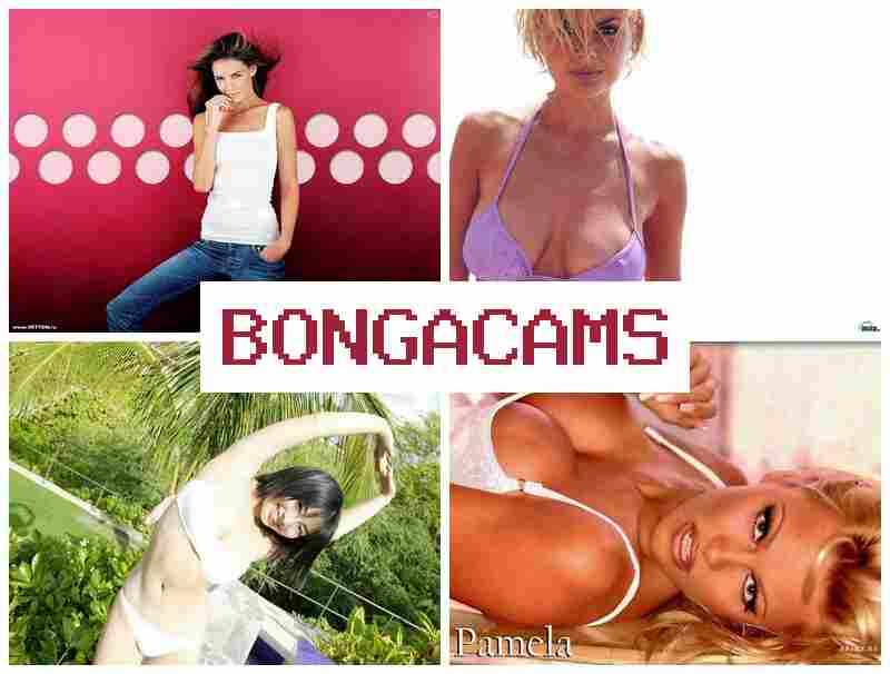 BONGA CAKS 🆒 Best Hardcore Porno Sex & Porno Videochat Stripchat