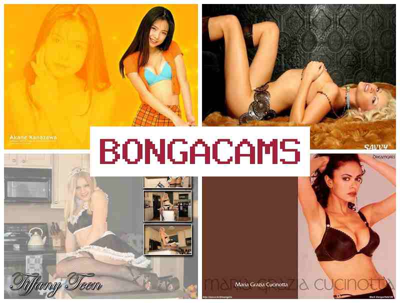 BONGA CAMW 🆕 Big Blowjob Porn & Porn Dancing