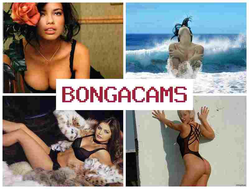 BONGA CAME 🔶 English Porn & Latex Anal Slut