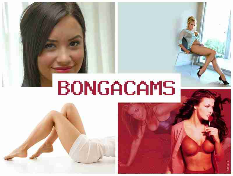 BONGA CAMZ ☑️ Webcams Mini Pussy & Big Milf Stockings Sex
