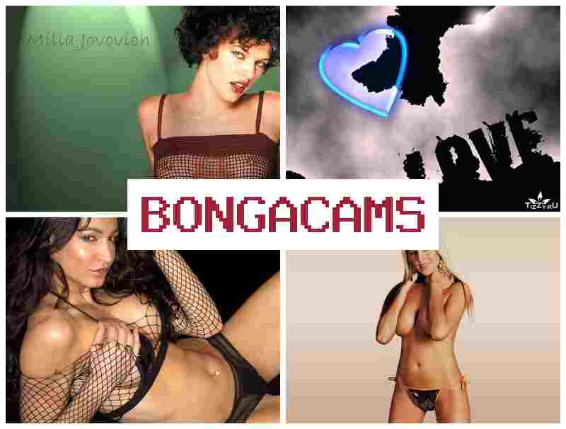 BONGACAMSS 💖 Porno Squirt, Webcam & Girl X Girl 18+ Sex