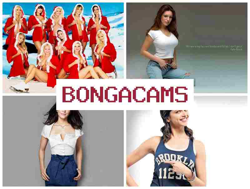 OBNGACAMS 🆕 Full Porn Videos & Curvy Slut