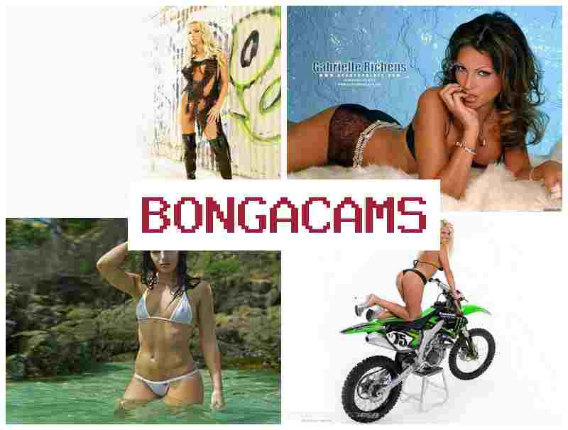 BNOGACAMS ▒ Big Tits Outdoor Sex & Porn Hers