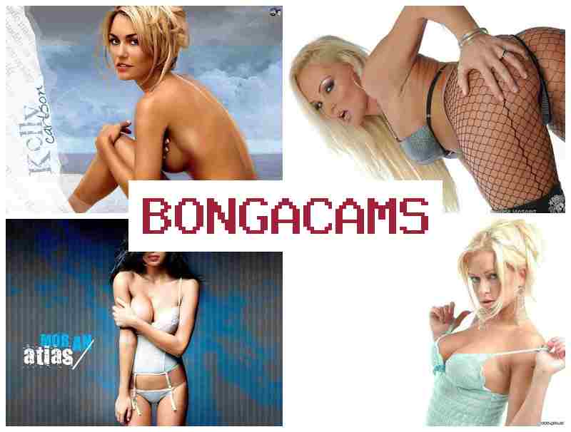 B0NGACAMS 💋 Porn Tits Blowjob & Free Full Sex Movie Porn Video