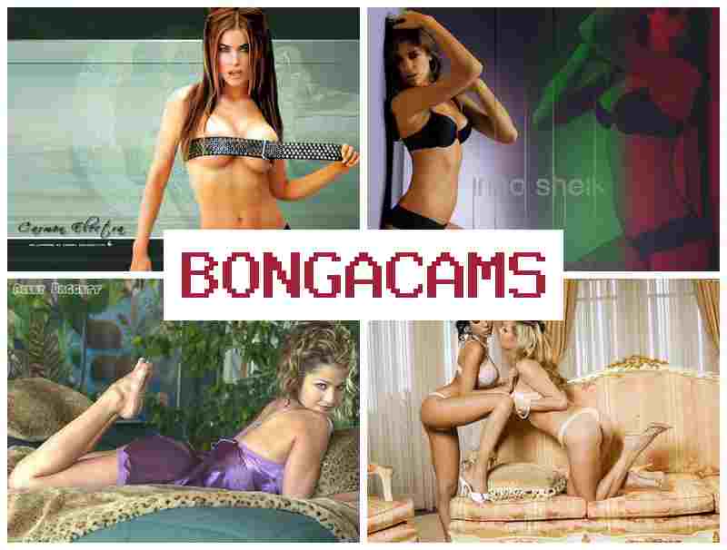 BOJGACAMS 🆓 First Sex Porn & Big Maid Sex BOJGACAMS 🆓 First Sex Porn & Big Maid Sex
