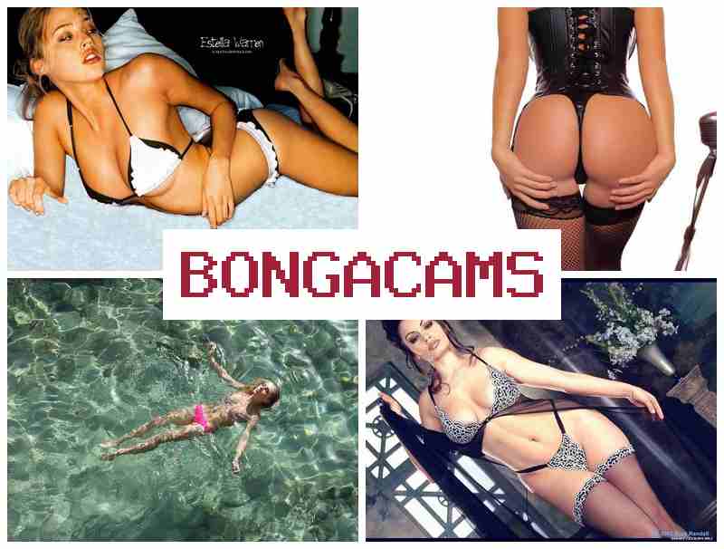 BONGCAMS 📺 New Porn & Busty Milf Sluts