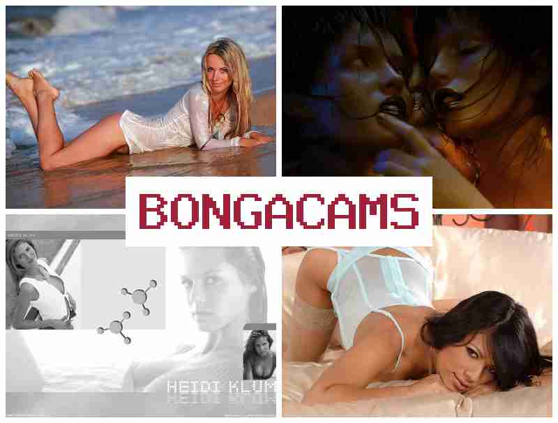BONTACAMS 💞 Big Ass Hot Latinas Sex & Fox Porn