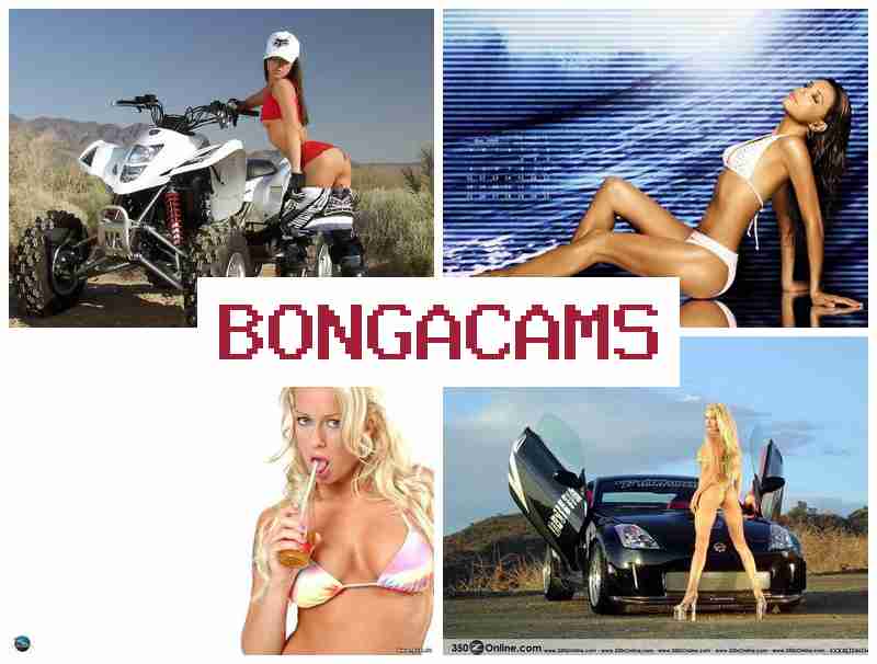 BONHACAMS 💕 Stockings Porn & Undertale Porn