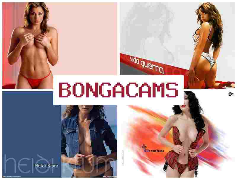 BONGAAMS 💚 Boob Tit HD Sex & Porn Sex Big Ass