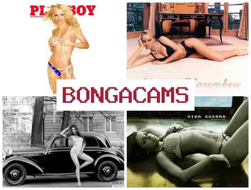 BONGAVAMS 🔺 Mew Slut Sex & Amateur Anal Sex