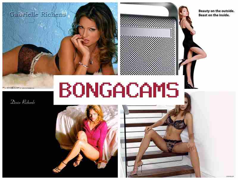 BONGACQMS 🔻 Dirty Live Webcam & New Porn Slut Butt