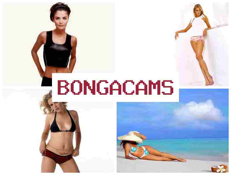BONGACAKS 🔻 Webcam, Teens Fuck Machines & Webcam Booty Porn BONGACAKS 🔻 Webcam, Teens Fuck Machines & Webcam Booty Porn