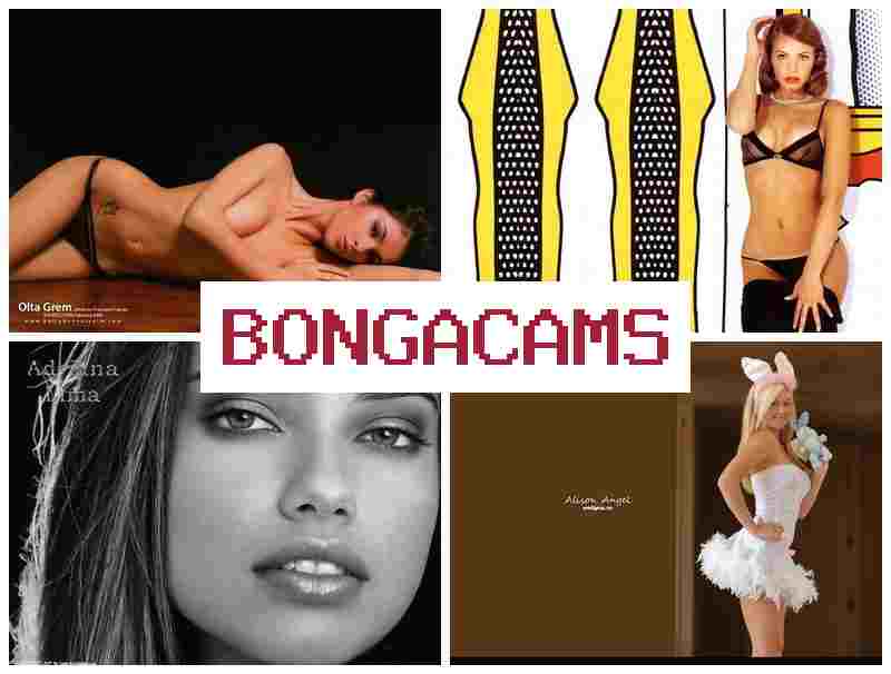 BONGACA,S ▓ Film Full Sex Indo & Big Granny, Webcam