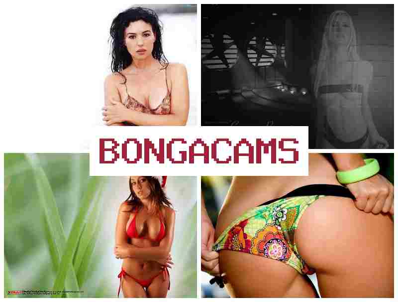 BONGACAS 🆗 Young Pussy's Webcam & Guys Sex Scene