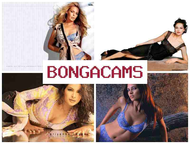 BOGA CAMS 🎥 Solo Masturbation Porno Webcam & Big Tit's Porn