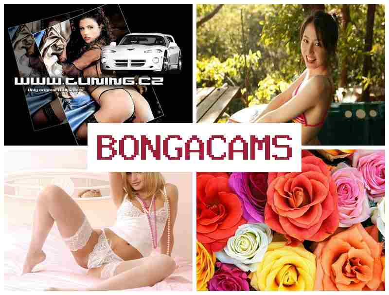 BONGA AMS 👠 University Sluts Petersburg & Horny Sluts Milf Porn