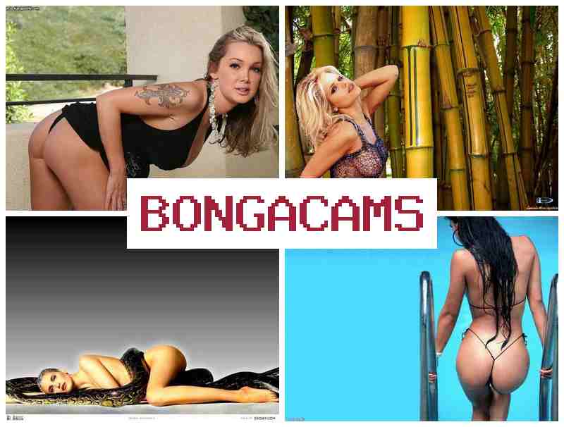 BONGA CMS 💟 Porn Kissing Webcam & Chubby Milf, Webcam