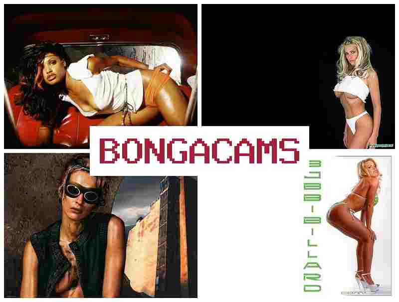 BBONGA CAMS 🔞 AV4 Sex Porno & New Porn Videos