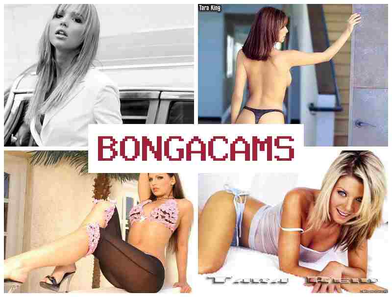 BONGACAM 💏 Facing Face Porn & Download Webcam Porn Videos
