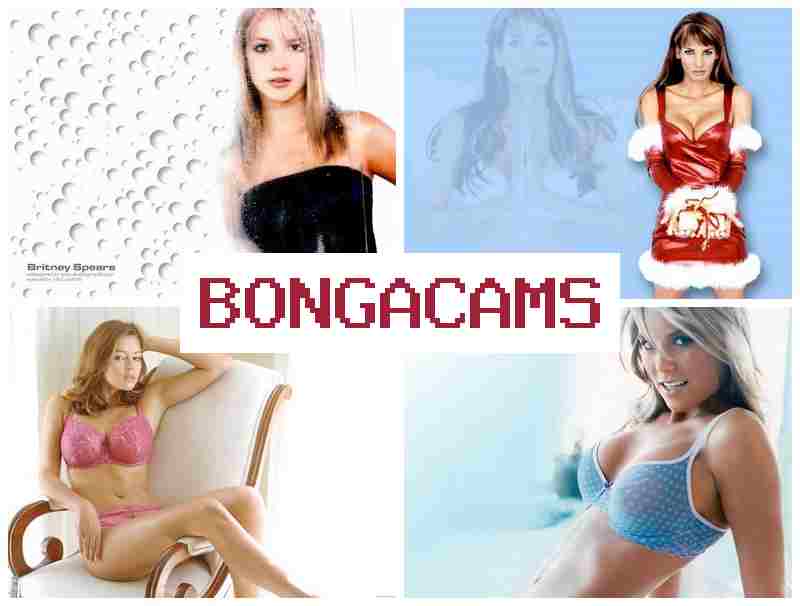 BONGGA CAMS 🔻 Slut Inspection & Model Video Chat