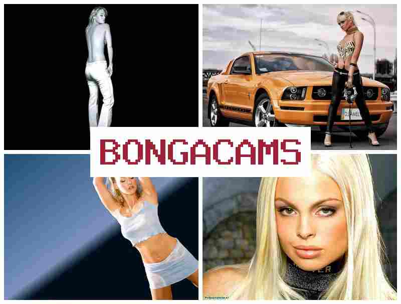 BONGA CAMMS ᐉ French Slut Porno & Fnf Porn