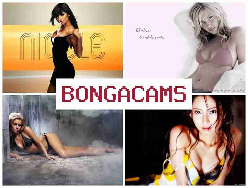 BONGA CAMSS 💘 Huge Tits, Webcam Porn & Private Asian Webcam Erotic