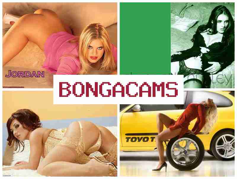 BBONGACAMS █ Beloved Free Sex & 13 Video Chat