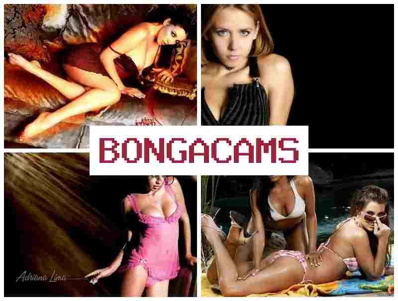 BONGA ACMS 💕 Free Young Sex Tube & Big Sex TG