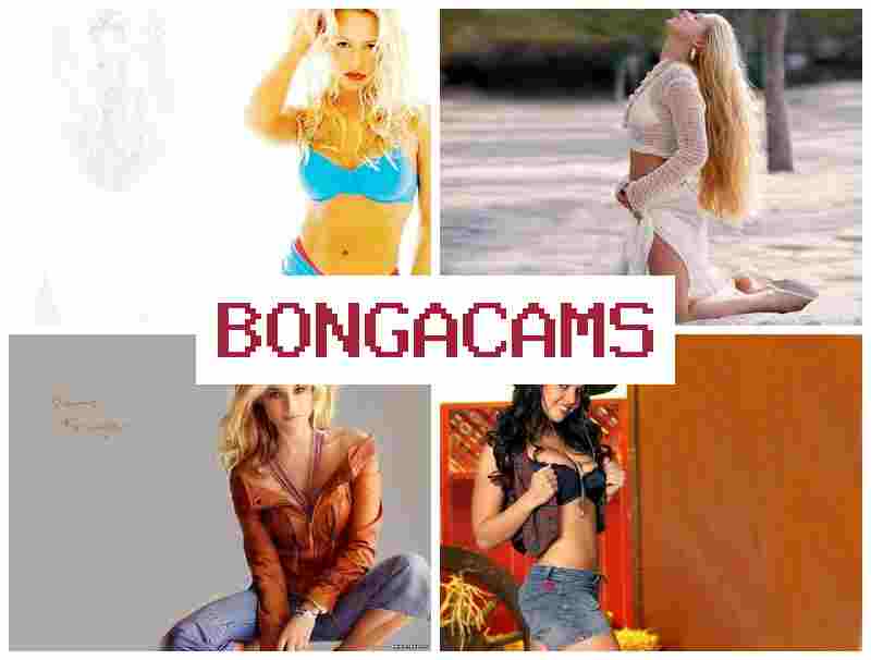 VONGA CAMS 🎇 Fingering Ass Sex & Big Ass Doggystyle Sex Porn