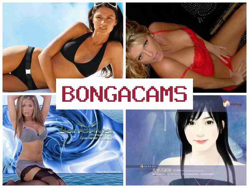 BINGA CAMS 👍 Foxes COM Sex & PMV Porn