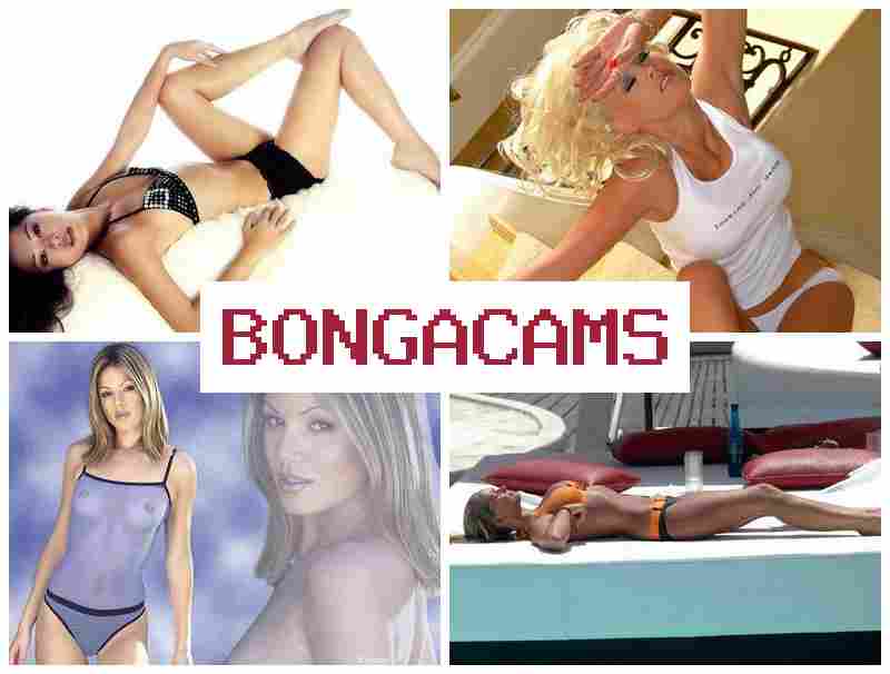 BOBGA CAMS 💝 Big Butt Webcam & Hentai Comics Slut