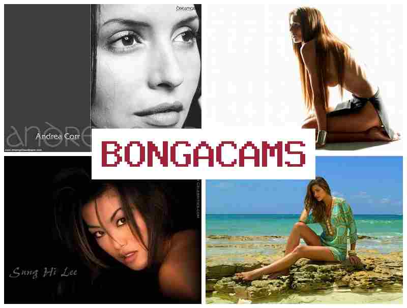 BONGW CAMS 📹 Porn Hub & Legal Slut
