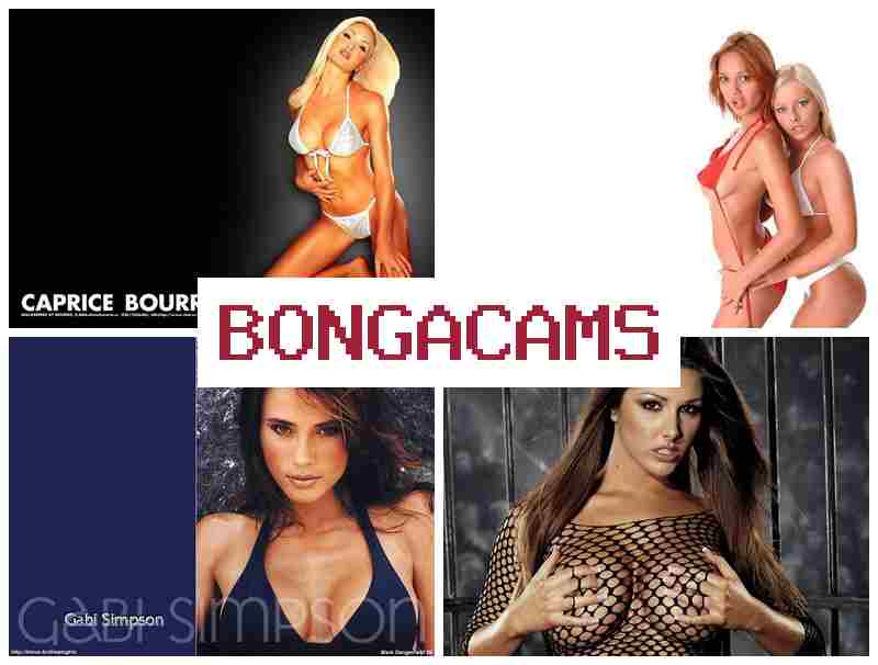 BONGA FAMS 💕 Milf Horny Slut & Foxy Slut