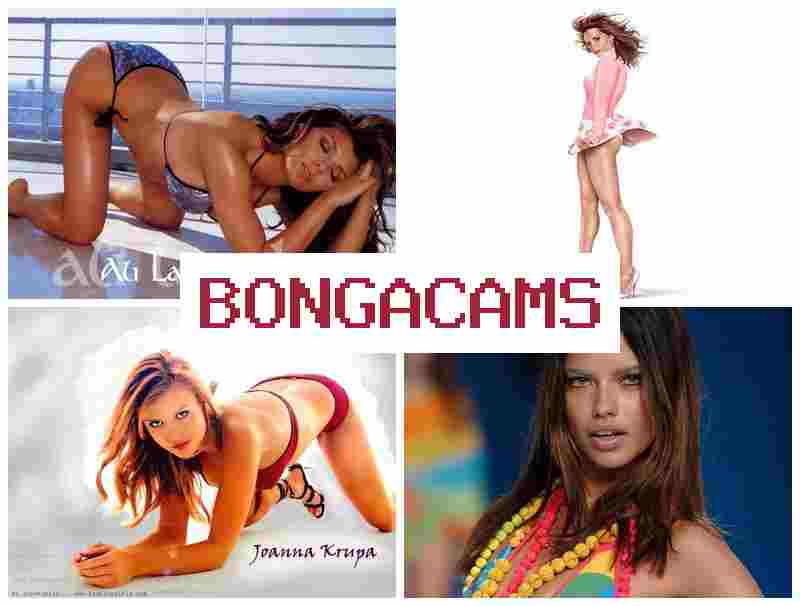 BONGA CAMX ☑️ Fart Porn & Fucking Porn