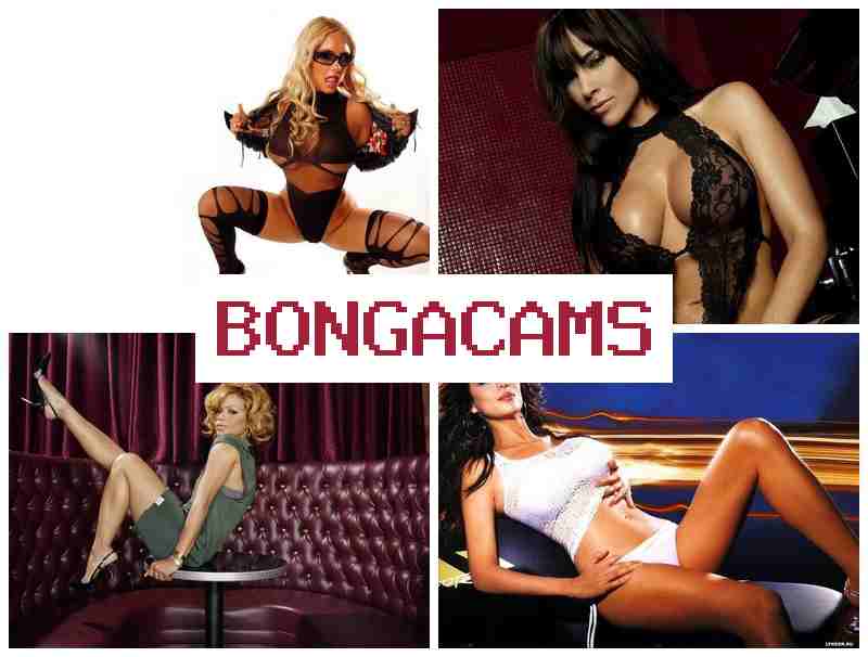 GONGACAMS ▓ Perfect Sluts & British Sluts Porn