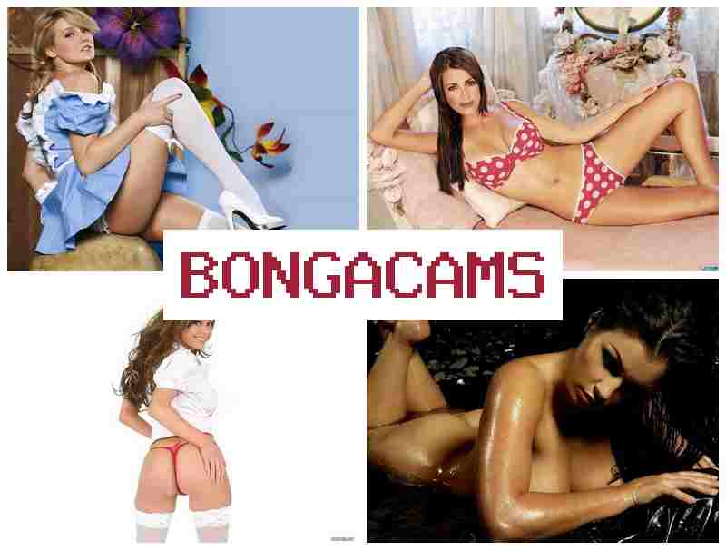 NONGACAMS 👩 Fucking Little Sluts & Tik-Tok Sluts