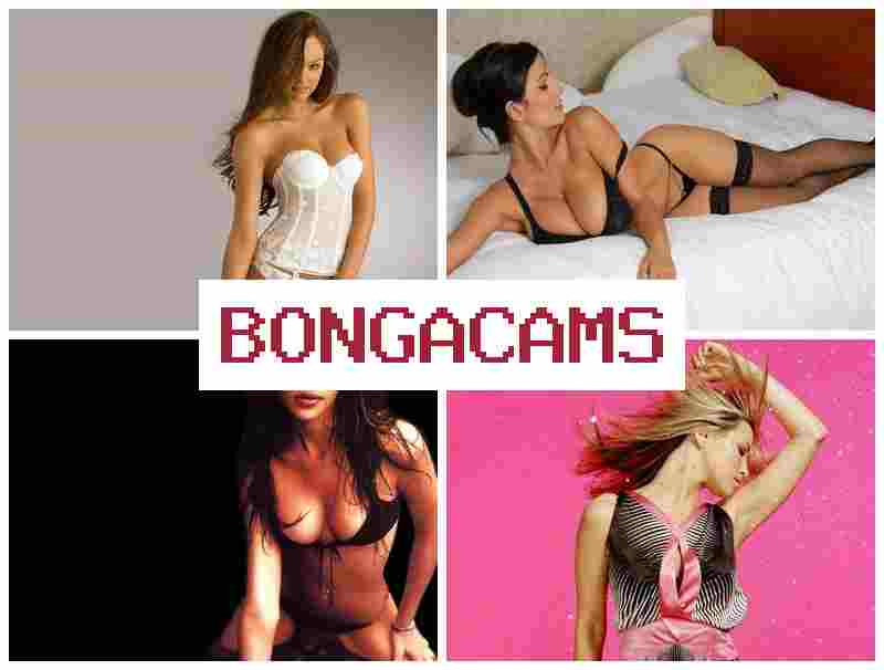 BPNGACAMS 🌟 White Slut Gets Fucked & Cute Ass Girls Sex