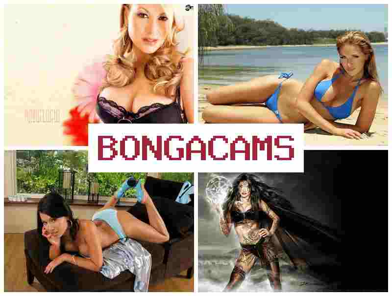 BOHGACAMS 💻 Sluts Swinger & Jav Porn