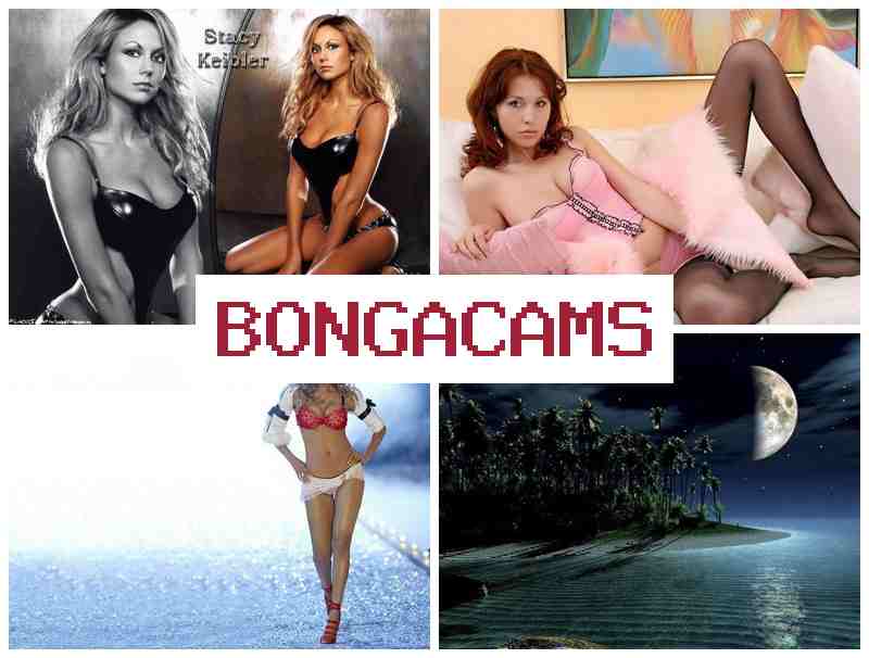 BONFACAMS ▓ Porn HD & Beautiful Students Girl Sex BONFACAMS ▓ Porn HD & Beautiful Students Girl Sex