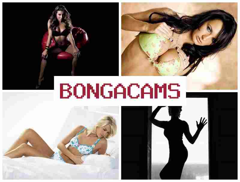 BONYACAMS 🔴 Wanted Slut Porn & TG Porn