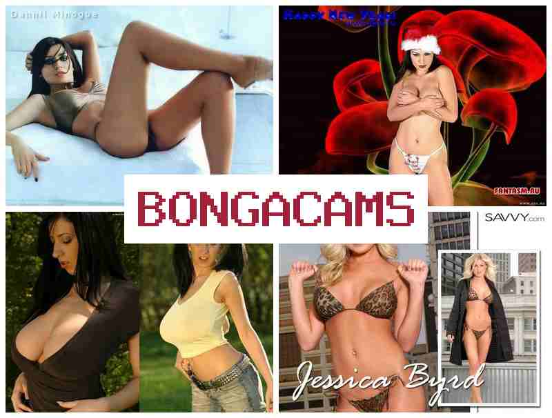 BONHACAMS 🎥 Piss Porn & Just Sluts