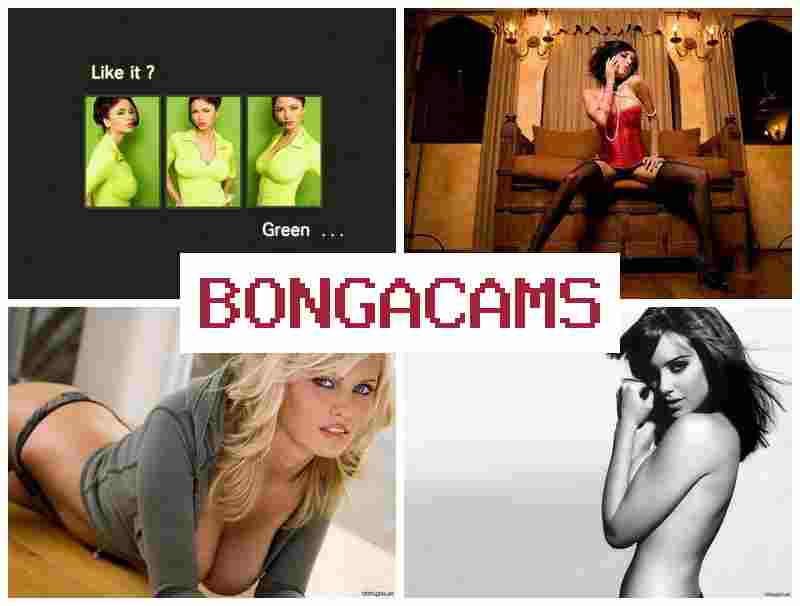 BONGSCAMS ♥ Agent Sex Porno & Femdom Sex Wife