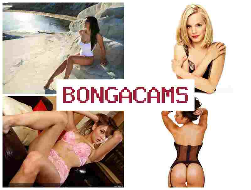 BONGAVAMS 👧 First Class Euro Sluts 1 Porno & Porn Forum