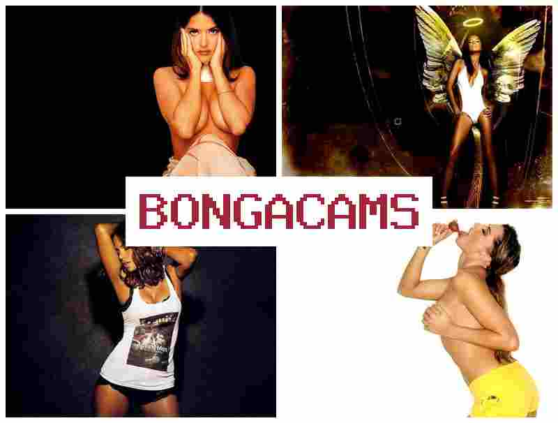 BONGACZMS 👠 Slut Hotel Sex & Catching Sex Real