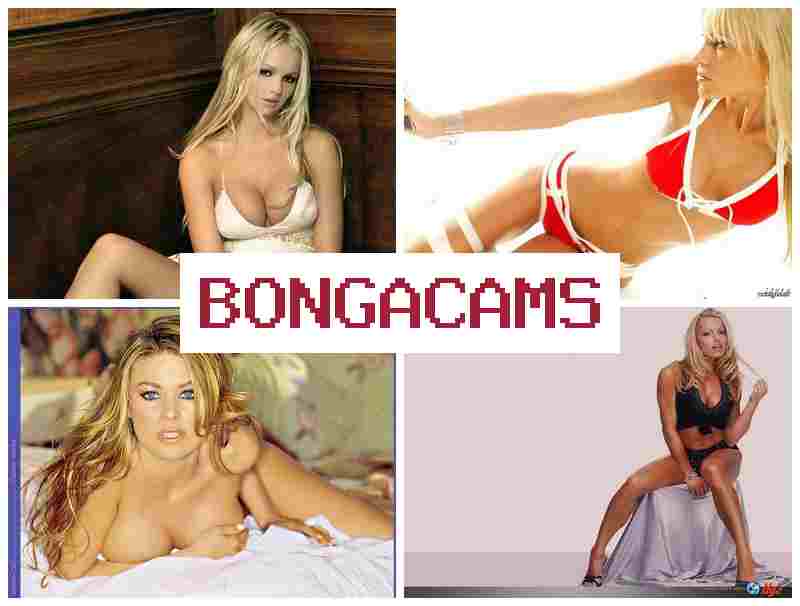 BONGACAJS 💋 Slut Wife Gangbang Porn & XXX Webcam Goht