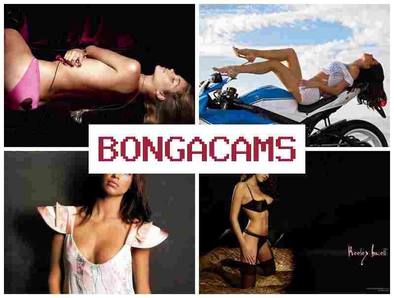 BOGA CAMS 🎇 Kissing Porn & Holed Porn