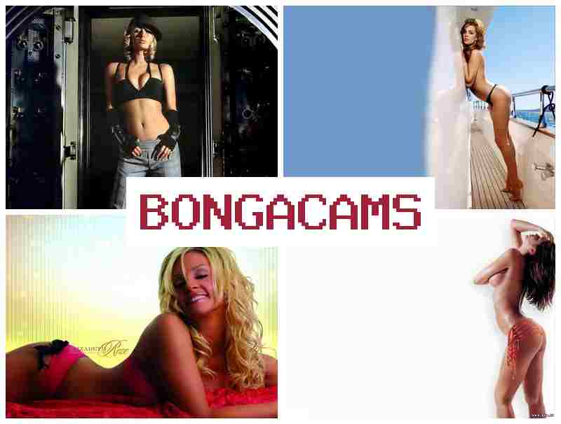 BONGA AMS 🔺 Solo Porn & Porn Sex Big Ass