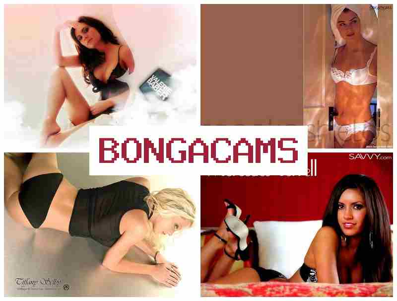 BONGA CMS ▓ Onlyfans Porn & Porno Porn
