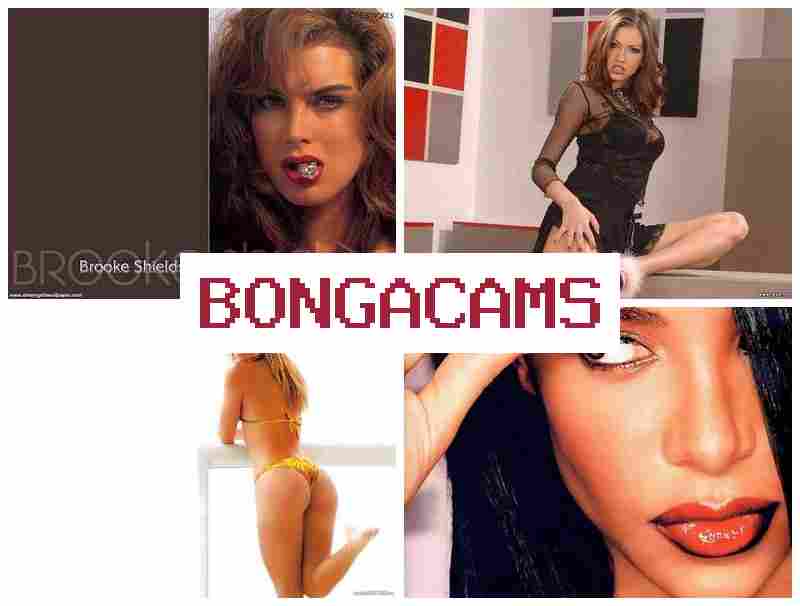 BONGA CAS 💘 Hot Sluts Fuck & Blonde Teen Slut First Anal